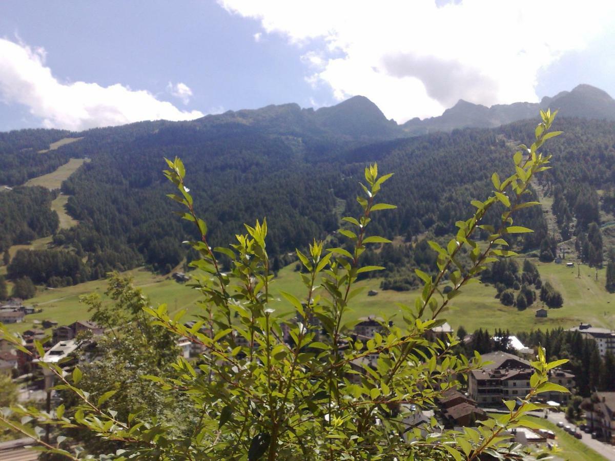 B & B Le Riue Aprica Luaran gambar